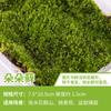 Shangshui bonsai de pedra absorvente, planta de pedra, planta verde, semente de grama, cálamo, micropaisagem interna, pó de esporos de musgo em vasos