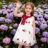 Nuevo Vestido Bordado de Verano para Niñas, Elegante Vestido de Princesa con Lazo para Bebés, Venta al por Mayor Directamente de Fábrica para Ventas Transfronterizas