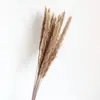 Trigo Lagurus Gipsófila Flores Secas Ramo Mixto Materiales para Manualidades Flores Decoración de Sala de Estar Fábrica de Yunnan Venta al por Mayor