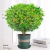 Plántulas de flores de Milán, flores de interior en maceta, plantas verdes para balcón y patio, florecen en todas las estaciones, fragancia fuerte, plantas repelentes de mosquitos, plantas maduras