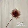 Flores Falsas de Bronce Simulado, Hojas de Dinero, Plantas Verdes, Cubo de Bendición de Año Nuevo, Adornos de Navidad, Hojas de Abanico Plateadas, Decoración de Salón de Bodas