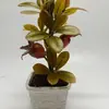 Flores Artificiales, Plantas Falsas para Decoración de Sala de Estar, Plantas Verdes Artificiales de Pie para Dormitorio, Adornos en Maceta, Decoración de Interior Monstera, Plantas Falsas