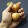 Pelota de Salud Taihang Thuja Pelota de Fitness Pelota de Transferencia de Salud con Cicatrices de Tumores y Ondas de Agua Pelota Sólida 4cm Estilos