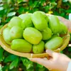 Pepino Fresco Jade Mujer Pepino Fruta Pepino Pulgar Pepino Crudo Pepino Blanco Seco del Noreste Verduras