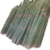 Varas de bambu pequenas para treliças de vegetais, suportes de jardim e cercas; varas de bambu para cultivar feijão, cercas e bandeiras decorativas; bambu fino