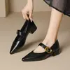 Zapatos de Tacón Alto Grueso Estilo Noche Francés para Mujer, Nuevo Modelo Otoño 2026, Adecuados para Combinar con Vestidos, Zapatos de Piel Puntiagudos, Mocasines Mary Jane