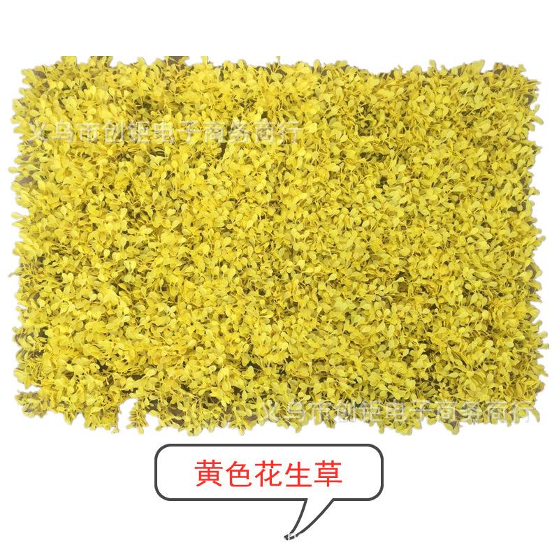 QQ图片20190227123220_副本.png