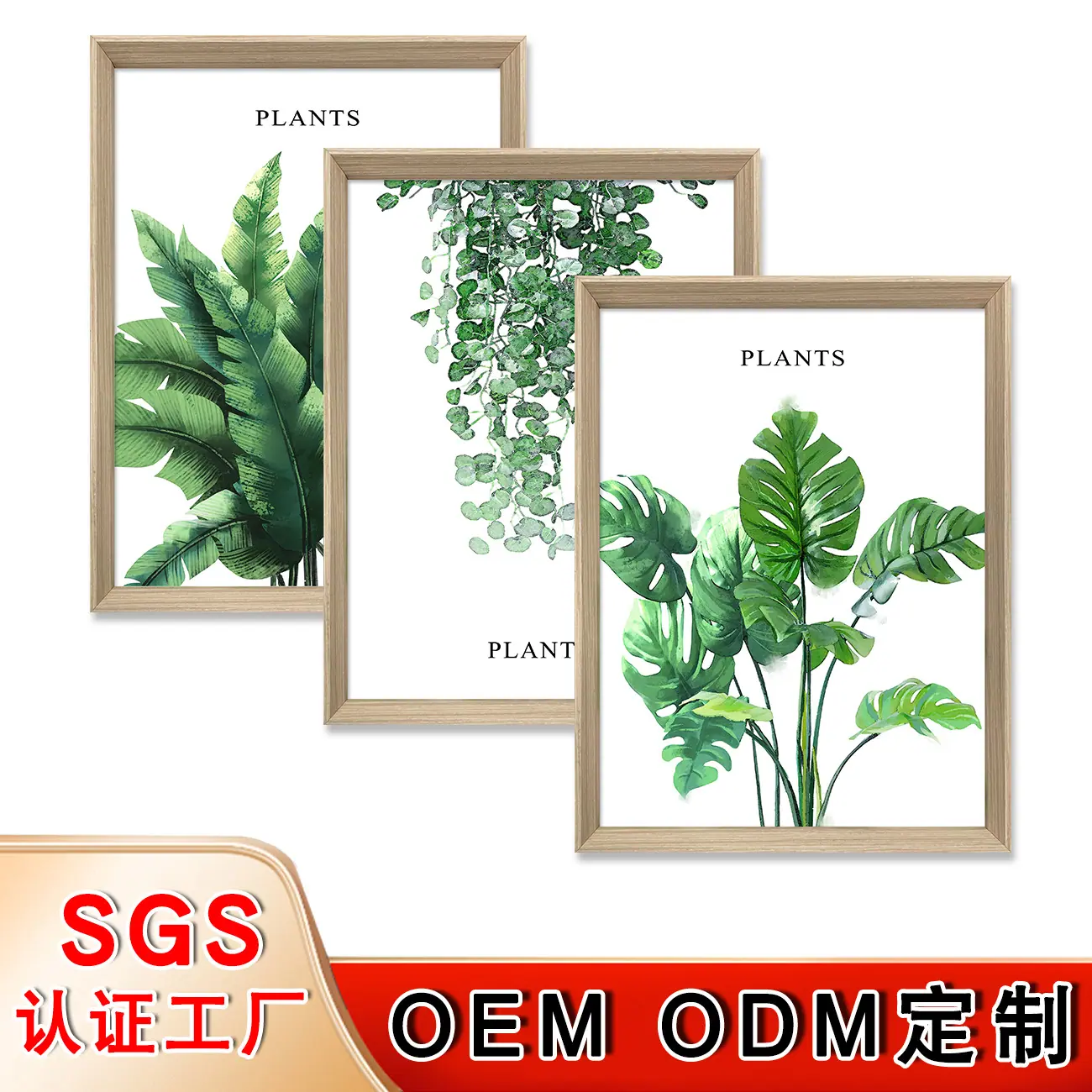 1.jpg主图22.11