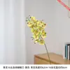 Caixa de Presente com Arranjo de Flores de Orquídea Borboleta Artificial de 16 Peças com Vaso Alto para Exibição, Inclui Galhos de Orquídea Borboleta Artificiais
