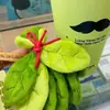 Nuevo [Ahuyenta la Mala Suerte] Amuleto de Hoja de Pomelo, Adorno de Buena Suerte, Misma Mochila Linda que el Juego de Té de Abuelo, Regalo Perfecto para Tu Mejor Amigo
