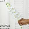Le Youyi 9 Cabeças 3D Phalaenopsis Flores Artificiais de Alta Qualidade, Flores Artificiais para Casamento, Arranjos de Flores de Chão, Flores para Decoração de Casamento, Decoração de Casa