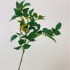 Folha de Osmanthus Artificial Pano Adesivo de Feltro de Mão Inserção de Ramo de Flor de Osmanthus Folha Verde Falsa Decoração Folha de Louro Artificial Árvore Falsa Material de Correspondência