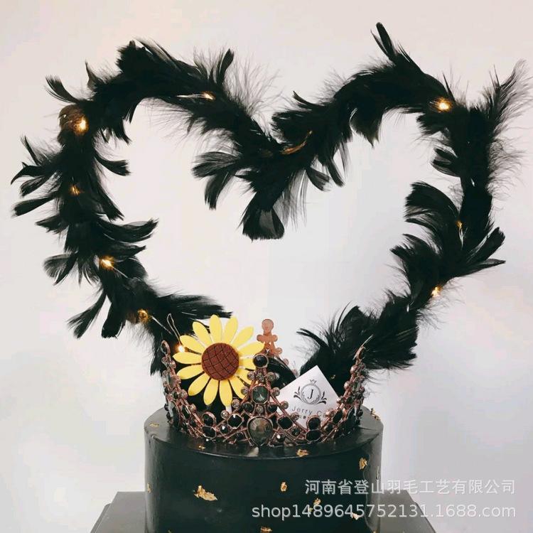 黑色百变羽毛
