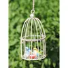 Mini Jaula de Pájaros de Hierro Hueca Adorno para Jardín Plantas Decoración DIY Accesorio de Simulación