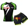 Traje de Treino para Sparring Traje UFC Masculino Boxe Justo Secagem Rápida Roupas Muay Thai Luta Shorts de Manga Curta Academia Luta