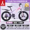 Bicicleta Infantil Phoenix para Niñas de 6-12-15 Años, Adolescentes, Niños Mayores, Bicicleta de Montaña con Cambios para Estudiantes