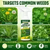 Rociador Herbicida para Césped KineShineX, Removedor de Malezas para Jardín, Eliminador de Dientes de León y Malezas para Espacios en Jardines y Bordes de Carretera