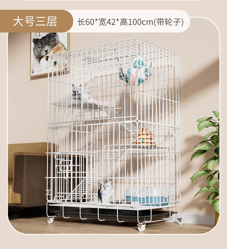 2_15.jpg?x-oss-process=image/format,png