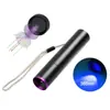 Produto Quente Transfronteiriço 365nm Espelho Preto Madeira Roxo Lanterna Recarregável USB Mini Lâmpada de Detecção de Moeda Ultravioleta