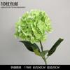Decoración de Flores Artificiales Verdes Material de Flores de Hoja de Manzana Flor Exterior Planta Verde Hermoso Arreglo Chen Simulación de Hoja de Tortuga Arte Floral para Boda