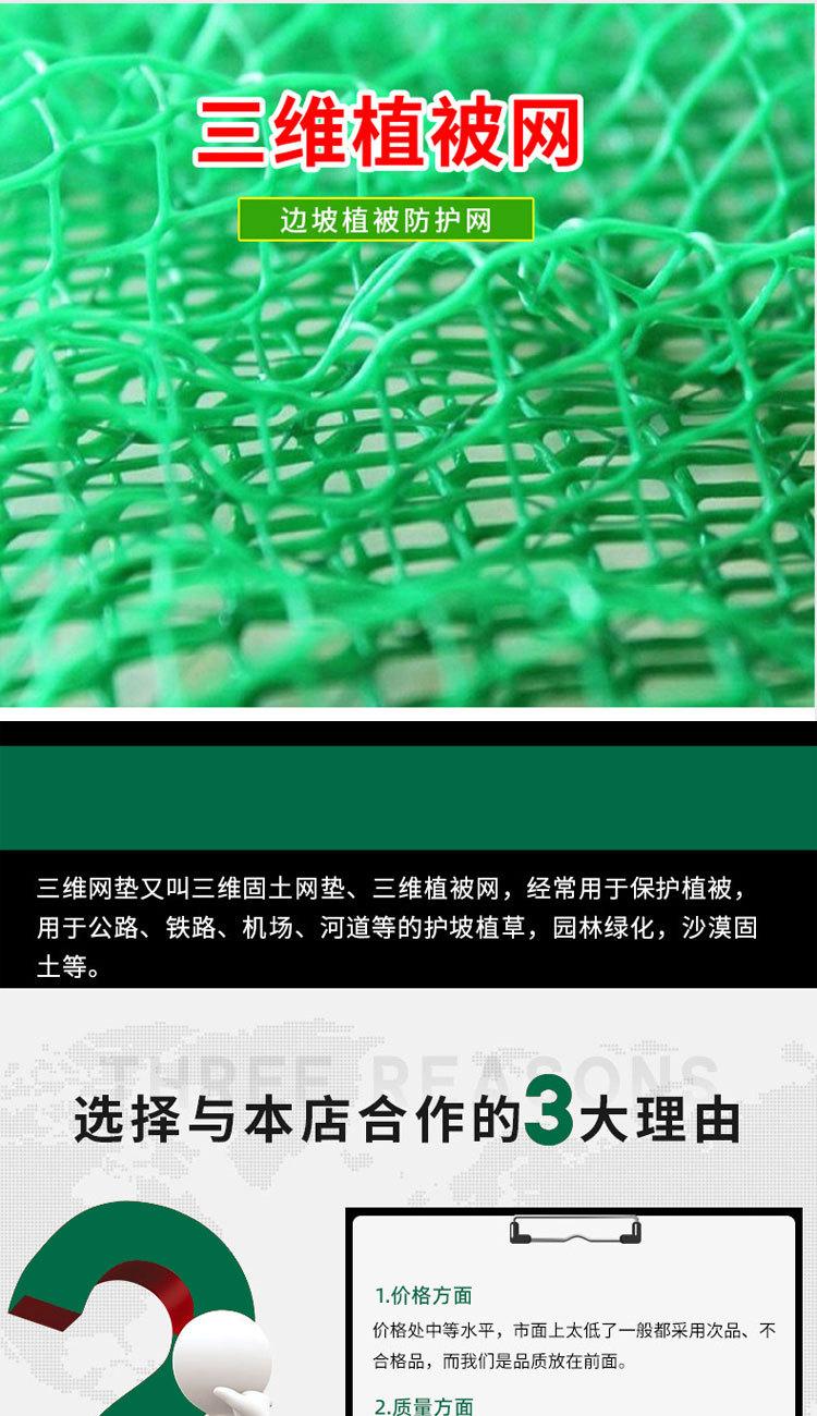三维植被网_01.jpg