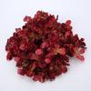 Flores Artificiales, Hortensias de Borde Quemado Falsas, Materiales para Manualidades DIY, Adorno para la Cabeza a Juego con Trajes Tradicionales, Decoración del Hogar, Arreglo de Escena con Flores Artificiales