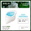 Concha Aromaterapia Vela Geléia Cera Fragrância Gesso Arte Ornamentos Sentido Avançado Estilo Oceano Fragrância Mão Criativa Presente