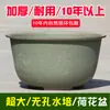 Maceta Grande Redonda Espesa Resistente al Sol de Lirio de Agua y Loto de Plástico No Poroso para Tanque de Dragón Hidropónico Venta al por Mayor para Uso en Plantación Exterior