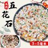 [5kg] piedra de flor de lluvia natural boutique Piedra de guijarro jardinería decoración del hogar pavimentación pecera Piedra color piedra negro blanco amarillo rojo