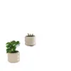 Plantas Verdes Artificiales, Flores Falsas, Flores Artificiales, Plantas Pequeñas de Escritorio en Maceta, Adornos Decorativos, Estanterías, Plantas Verdes Artificiales, Accesorios de Fotografía