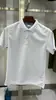 Camisa Polo de Color Liso de Secado Rápido de Verano Personalización Ropa de Trabajo de Manga Corta Corporativa para Hombres y Mujeres Team Building Publicidad Camisa Cultural Estampado de Logo
