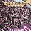 Mojiang Zimi Yunnan Granja Fresco Molido Nuevo Arroz Bolas de Arroz Gachas Multigrano Postre de Arroz Ingredientes para Hornear