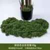 Simulação transfronteiriça musgo musgo artificial atacado diy mesa de areia planta paisagem gramado artificial planta parede de flores decoração