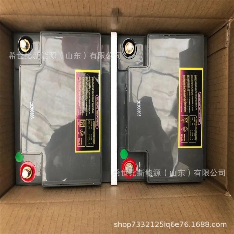 理士蓄电池图片.webp.jpg