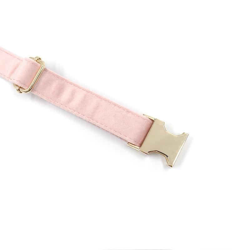 现货批发浅金扣粉绒项圈 亚马逊专供厂家刻字狗狗项圈 dog