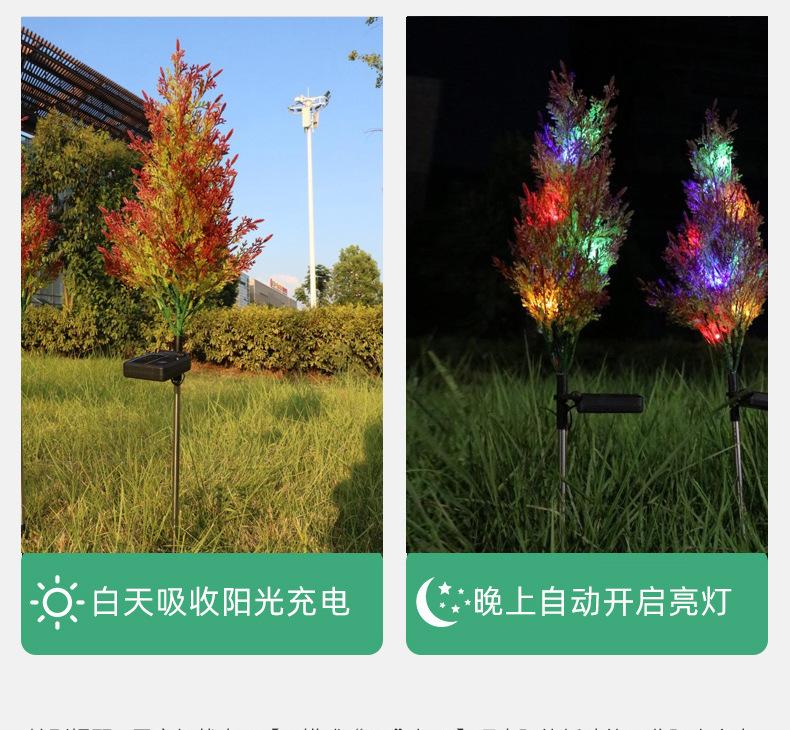 10(1)_08.jpg