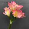 Planta Ornamental Clívia Artificial Haste Única Clívia Orquídea de Vaso Flor Única Estilo Ins