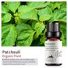 Exportación Transfronteriza Aceite Esencial Individual Fragancia Aromaterapia Masaje Aceite Esencial Sándalo Difusor Mayoreo Muestra de 10 ml