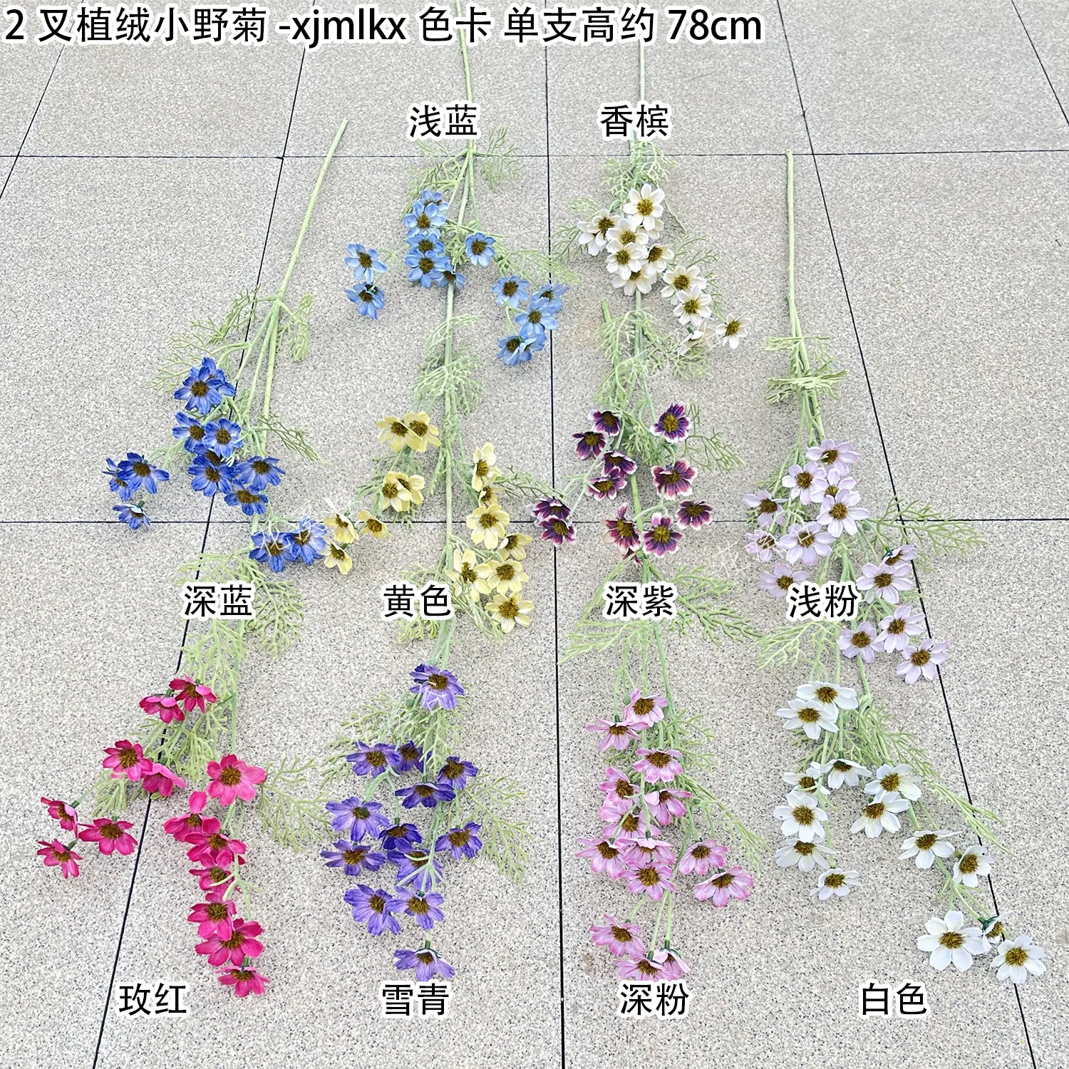 2叉植绒小野菊-xjmlkx 色卡 花溪谷.jpg
