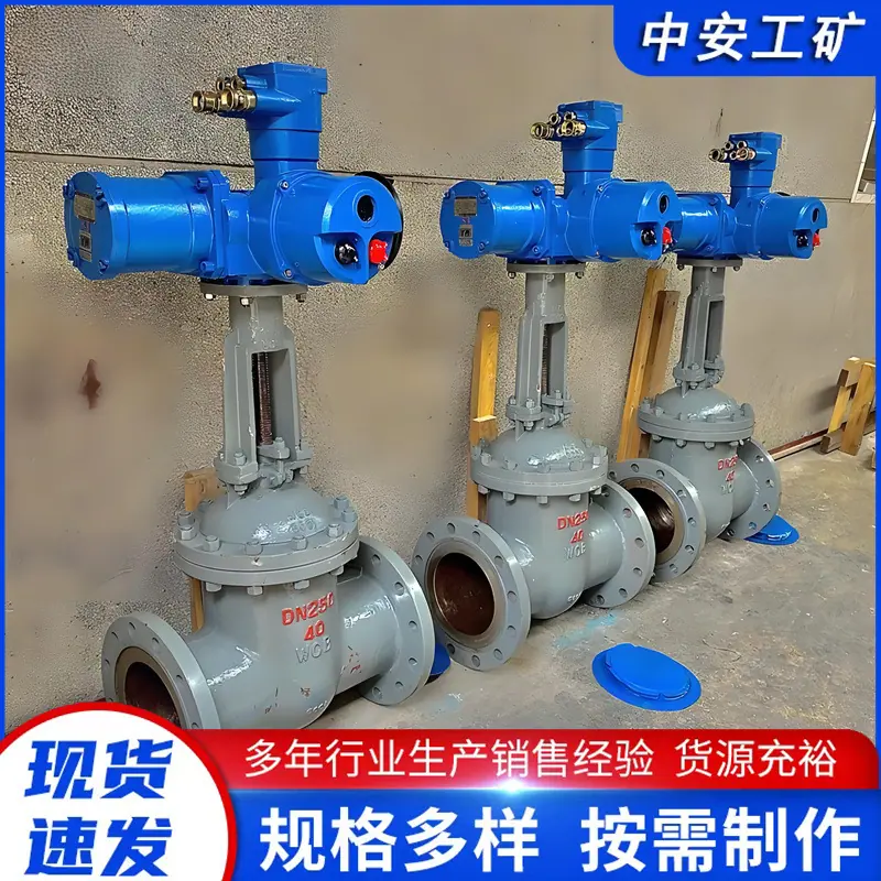 隔爆型电动闸阀 (1)_副本.jpg