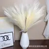 Hierba de Caña Artificial de 9 Ramas, Estilo Popular para Centros Comerciales y Hoteles, Decoración de Boda Festival de Plumas, Hierba de Cola de Zorro Artificial