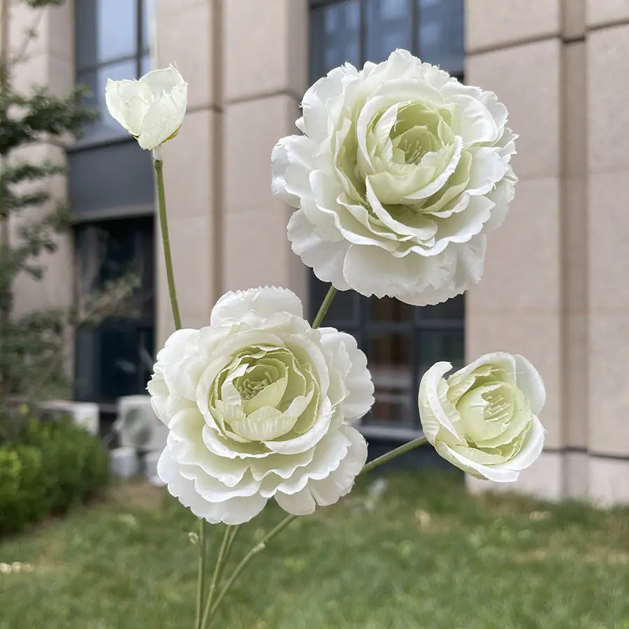 4头小茶花-xwmwpx-奶绿.JPG
