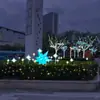Puntos Fotográficos Emblemáticos Románticos Urbanos, Luces de Estrellas, Iluminación Exterior de Calle, Instalaciones de Iluminación Hechas a Medida