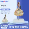 Suministro de Modelos Artificiales Magnificadores de Hojas de Pulmón, Modelos de Anatomía Interna, Instrumentos Científicos Modelos para Enseñanza Médica