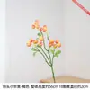 18 manzanas pequeñas con granos carnosos y color delicado, restaurando una textura natural y vibrante, artículo de decoración para el hogar versátil