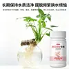 Pastillas Efervescentes Revitalizantes para Flores, Tienda de Flores en Casa, Purificador de Agua Desodorante Desinfectante para Plantas Hidropónicas, Agente de Conservación y Esterilización para Flores