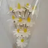 Sementes, Flores, Flores Eternas, Flores Secas Artesanais, Kit de Material DIY, Arranjo de Flores em Vaso, Flores Naturais Reais, Adereços para Fotografia, Plantas Estilo Ins