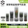 Bolsa Inflable Chongqing Bolsa de Aire Anti-Presión Empaque Exprés para Plantas en Maceta Bolsa de Columna de Aire Anticolisión Bolsa de Columna de Aire de Protección para Frágiles