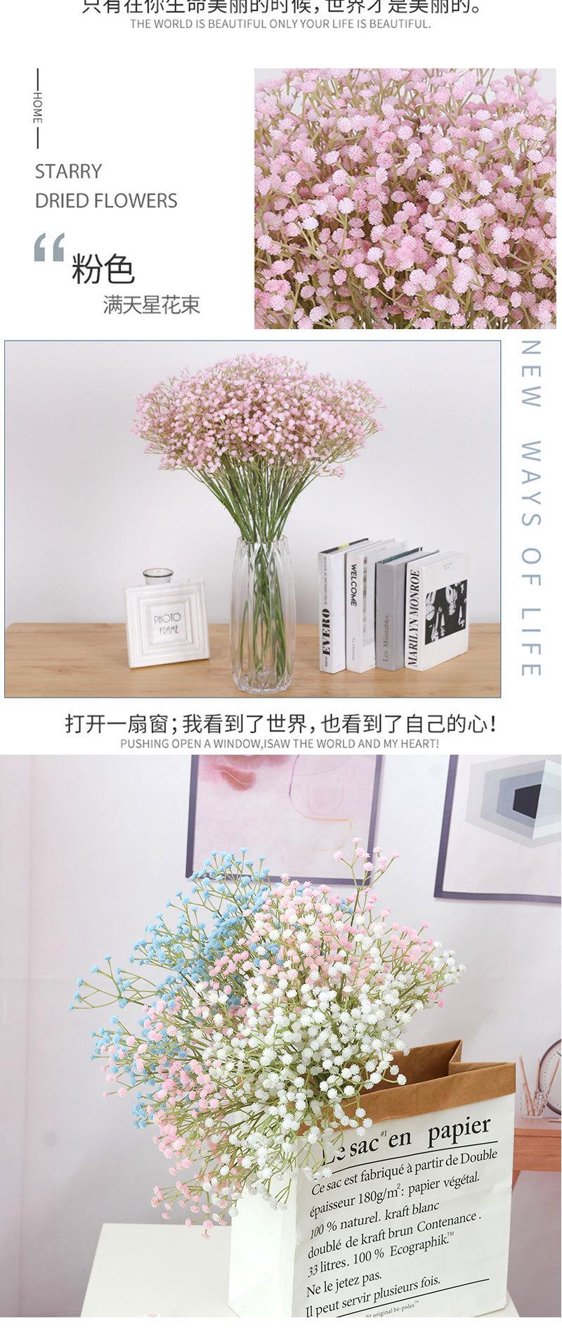 4叉满天星_06.jpg
