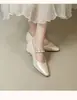Zapatos Mary Jane para Mujer 2026 Modelo Nuevo, Plateados, Exquisito Estilo Coreano, Suela Suave Cómoda, Versátiles Puntiagudos de Tacón Bajo y Poco Profundos